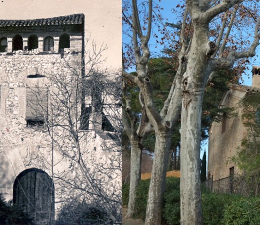 “Molí Nou i la Bassa Nova”, per Antoni Zaragoza