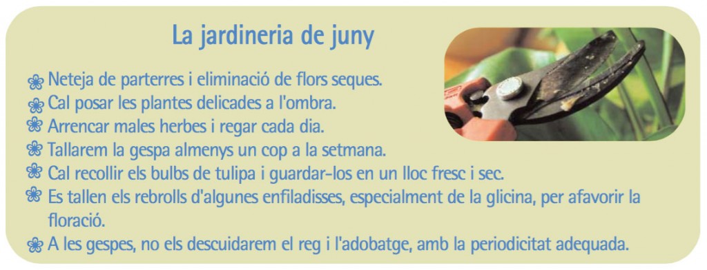 Jardineria_Juny_Guia