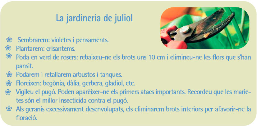 jardineria_juliol_guia