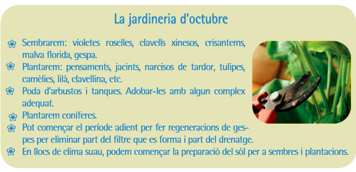 jardineria_octubre