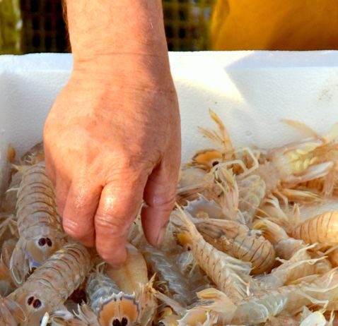 Cambrils, 13enes Jornades de la Galera