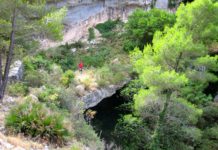 El Pont d’Orient-La Guia de Reus