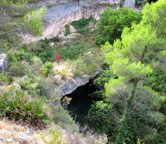 El Pont d’Orient-La Guia de Reus