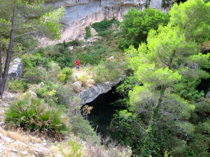 El Pont d’Orient-La Guia de Reus