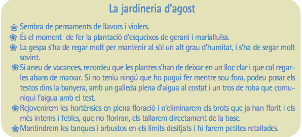 Jardineria d'agost