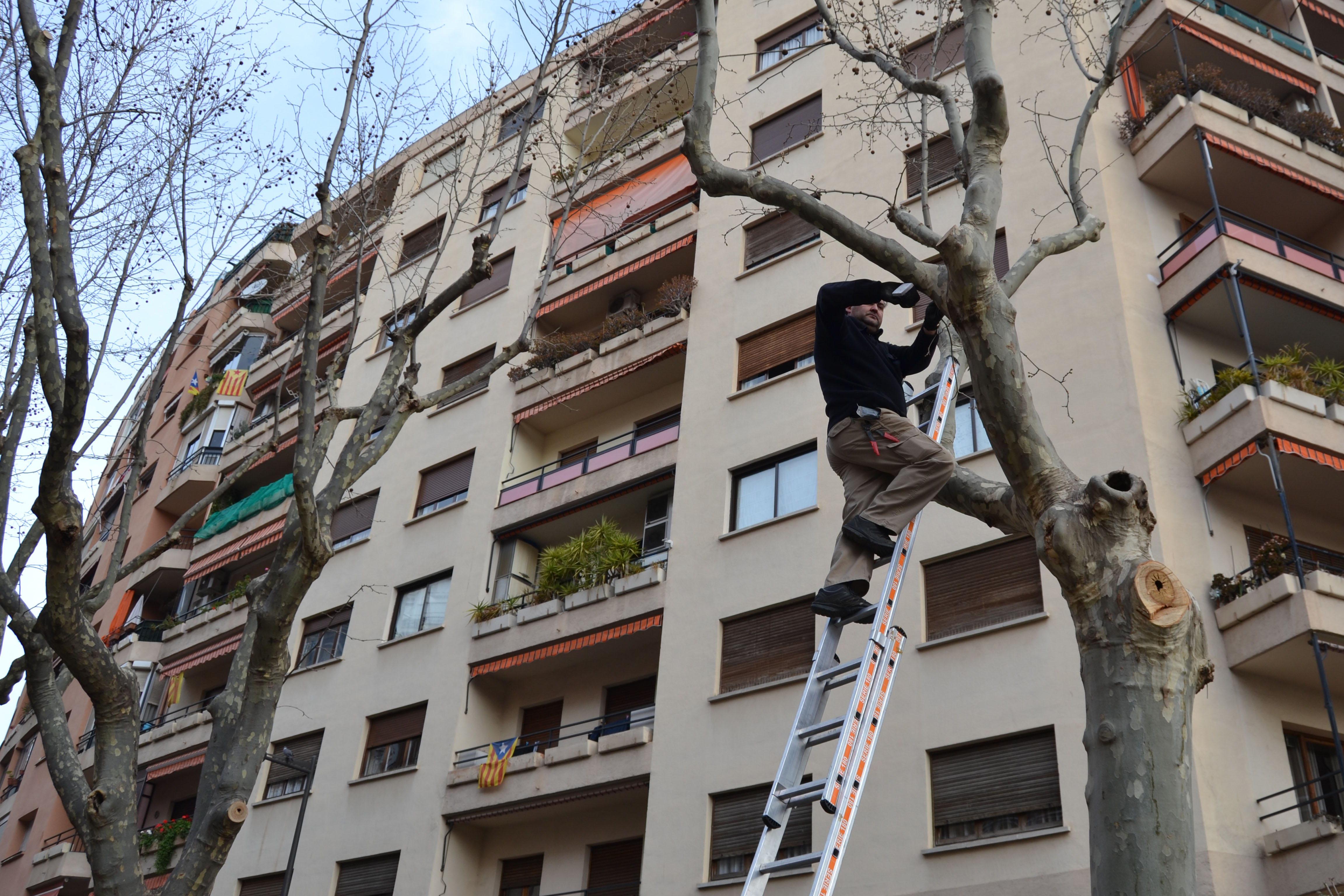 mètodes utilitzats per els coloms 2