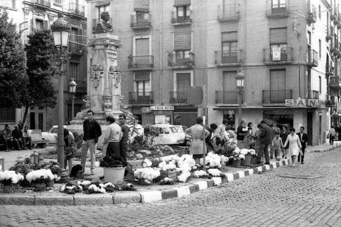 Reus i els safaris al cementiri, per Antoni Zaragoza