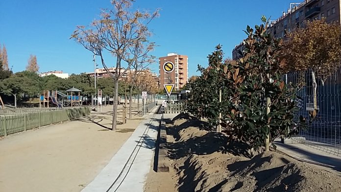 La plantació de nou arbrat millora la zona verda del parc del Ferrocarril