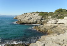 "Arran de mar" per Ester Borràs Giol