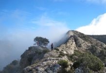 El Camí de la Bruixa per Ester Borràs Giol