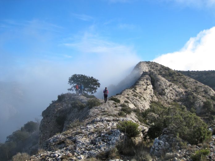 El Camí de la Bruixa per Ester Borràs Giol