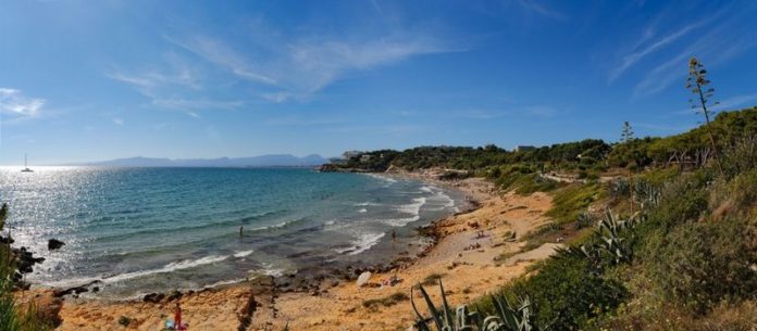 Els alumnes de les sis escoles de Salou participaran en una plantada popular