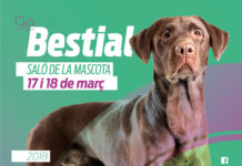 Cartell FiraReus - Saló de la Mascota - 2018