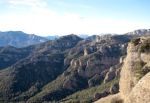 Les Montserratines