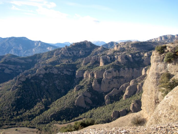 Les Montserratines