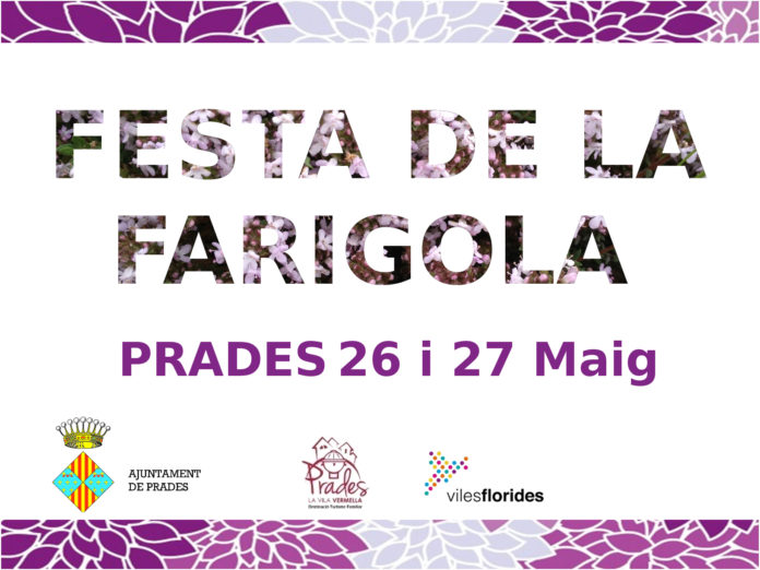 Prades celebra la tradicional Festa de la Farigola el pròxim cap de setmana