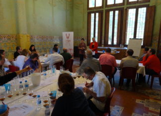 50 vermuts competeixen a la fase de tast dels Premis Vinari 50 vermuts competeixen a la fase de tast dels Premis Vinari