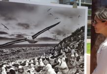 SEBASTIÃO SALGADO GÈNESI