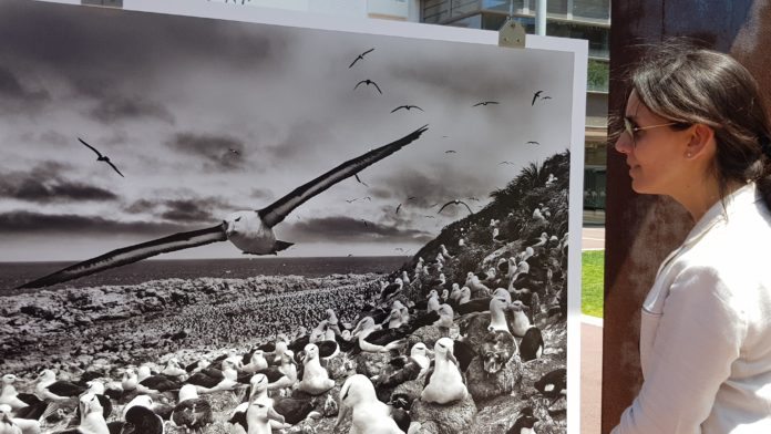 SEBASTIÃO SALGADO GÈNESI