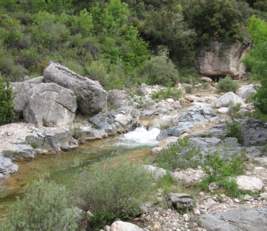 El riu Siurana, per Ester Borràs Giol El riu Siurana