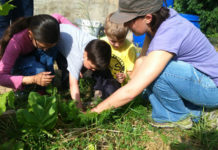 Horticultura i jardineria