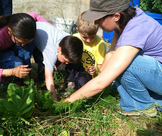 Horticultura i jardineria