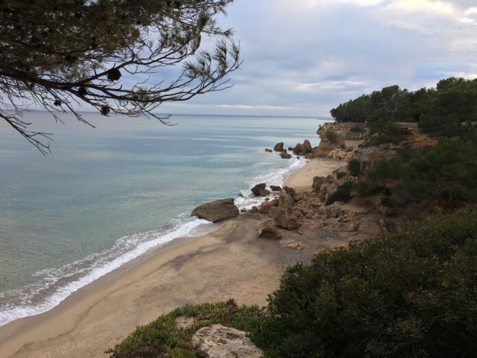 L’Ajuntament de Mont-roig del Camp obrirà les cales el dia 26 de juny