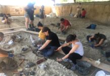 Estudiants de la UOC i de la URV potencien la presència de jaciments prehistòrics a la Viquipèdia elaborant noves entrades