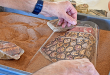 El Museu Nacional Arqueològic de Tarragona acollira activitats de Les Jornades Europees d'Arqueologia