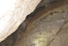 Els camins de la prehistòria: Les coves del Rufino, per Ester Borràs Giol