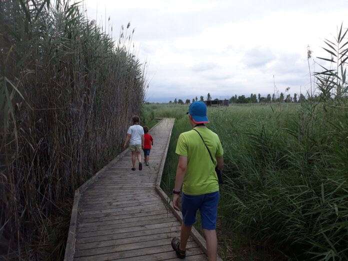 Els caps de setmana, visites a l'espai natural de la Sèquia Major de Vila-seca