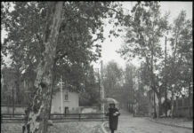 Arriba la tardor, per Àlex Cervelló Salvadó