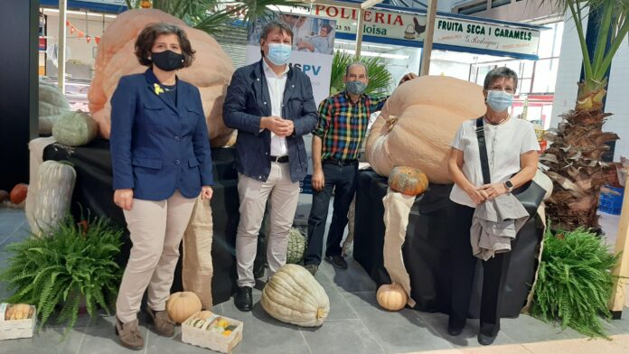 Carbasses gegants al Mercat Central