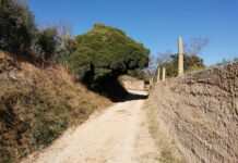 Camins de Reus, per Ester Borràs Giol