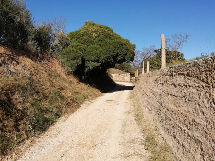 Camins de Reus, per Ester Borràs Giol