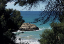 Fotografia de Mar Sardà