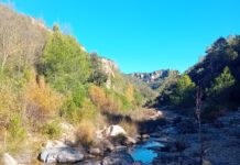 Els rius Siurana i Montsant