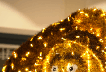 Nadal al Parc Central de Tarragona