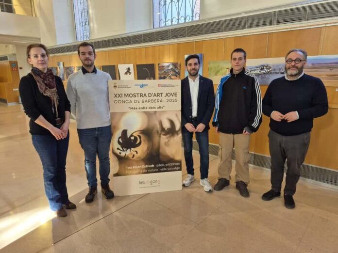 Roda de premsa del projecte Hexàgon d’Art Jove-20251119120408