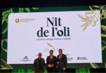 Reus acollirà la Nit de l’Oli d’Oliva Verge Extra Català del 2026