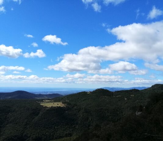 Excursions des de l’Albiol