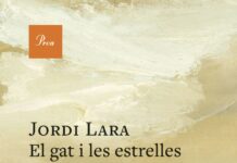 El gat i les estrelles
