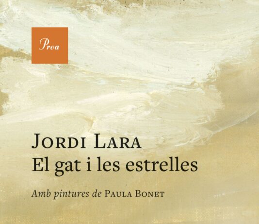 El gat i les estrelles