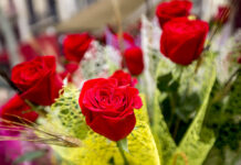 ‘Sant Jordi en companyia’