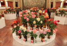 79è Concurs Exposició Nacional de Roses