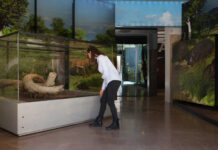 L’Espai Mammuthus de La Canonja se suma al Dia Internacional dels Museus