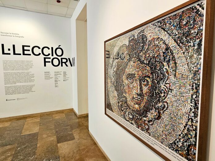 Col.lecció_Forvm1_MAMT 22