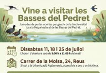 Visites guiades a les Basses del Pedret