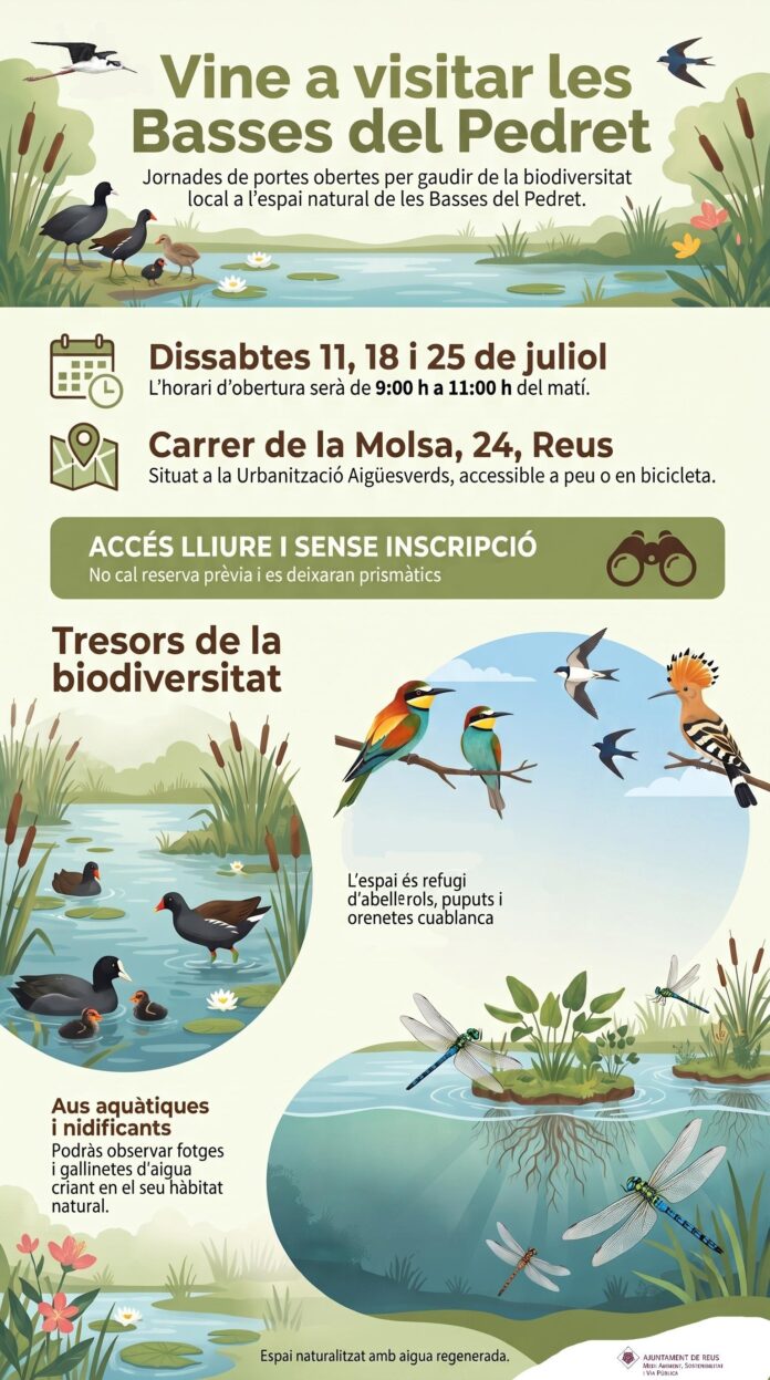Cartell visita Basses del Pedret-20260702083342