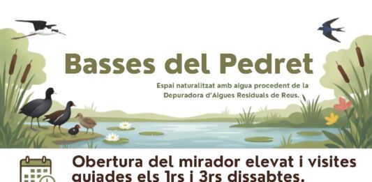 Visites guiades a les Basses del Pedret